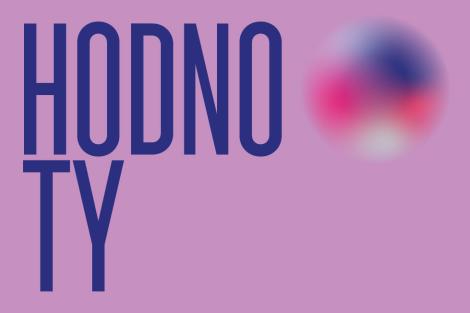 hodnoty web